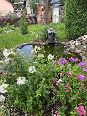 Gartenteich 1 - 4 Zimmer Einfamilienhaus in Probstzella