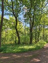 Waldflächen nahe Gifhorn - Kein Bauland