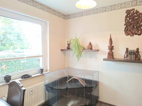 Kinder-/Arbeitszimmer - 