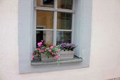 Fenster mit Blumenbank - 
