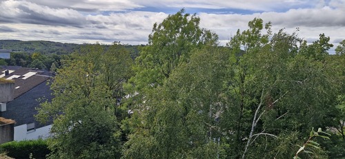 Aussicht vom Balkon - 