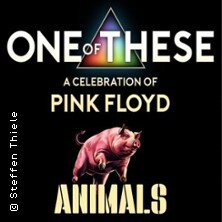 One of These Pink Floyd Tribute Live