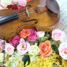 Valentinskonzert - Rosen aus dem Süden I DRESDNER RESIDENZ KONZERTE I ORCHESTER