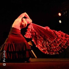 THISISPAIN | Hillel Kogan