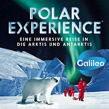 POLAR EXPERIENCE - Die immersive Ausstellung | Zeitfensterticket