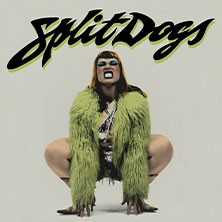SPLIT DOGS