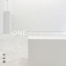 ONE . A Private Encounter with Art