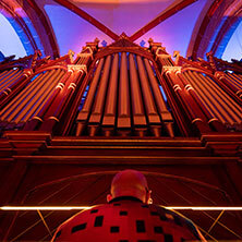 Starlights Live - Ich steh' auf Orgel, du Pfeife - Tour 2027