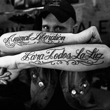 Los Fastidios, Cian Downing